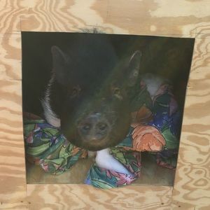 Meet your Posher, Morgan